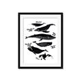 Picture of Ocean Life Black and White _GroupedProduct_Rectangle_Portrait_Framed_Matted_