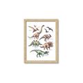 Picture of World of Dinos  _GroupedProduct_Rectangle_Portrait_Framed_Matted_