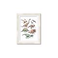 Picture of World of Dinos  _GroupedProduct_Rectangle_Portrait_Framed_Matted_