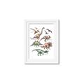 Picture of World of Dinos  _GroupedProduct_Rectangle_Portrait_Framed_Matted_