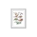 Picture of World of Dinos  _GroupedProduct_Rectangle_Portrait_Framed_Matted_