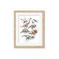 Picture of World of Dinos  _GroupedProduct_Rectangle_Portrait_Framed_Matted_