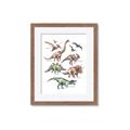 Picture of World of Dinos  _GroupedProduct_Rectangle_Portrait_Framed_Matted_