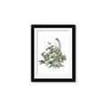 Picture of Wild Dinosaurs _GroupedProduct_Rectangle_Portrait_Framed_Matted_