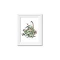 Picture of Wild Dinosaurs _GroupedProduct_Rectangle_Portrait_Framed_Matted_