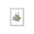 Picture of Wild Dinosaurs _GroupedProduct_Rectangle_Portrait_Framed_Matted_