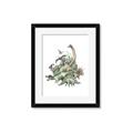 Picture of Wild Dinosaurs _GroupedProduct_Rectangle_Portrait_Framed_Matted_