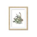 Picture of Wild Dinosaurs _GroupedProduct_Rectangle_Portrait_Framed_Matted_