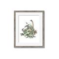 Picture of Wild Dinosaurs _GroupedProduct_Rectangle_Portrait_Framed_Matted_