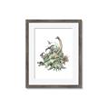 Picture of Wild Dinosaurs _GroupedProduct_Rectangle_Portrait_Framed_Matted_