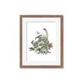 Picture of Wild Dinosaurs _GroupedProduct_Rectangle_Portrait_Framed_Matted_