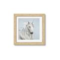 Picture of Blue Unicorn _GroupedProduct_Square_Framed_Matted_