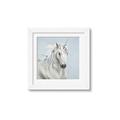 Picture of Blue Unicorn _GroupedProduct_Square_Framed_Matted_