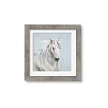 Picture of Blue Unicorn _GroupedProduct_Square_Framed_Matted_