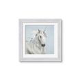 Picture of Blue Unicorn _GroupedProduct_Square_Framed_Matted_
