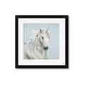 Picture of Blue Unicorn _GroupedProduct_Square_Framed_Matted_