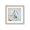 Picture of Blue Unicorn _GroupedProduct_Square_Framed_Matted_