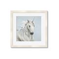Picture of Blue Unicorn _GroupedProduct_Square_Framed_Matted_