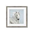 Picture of Blue Unicorn _GroupedProduct_Square_Framed_Matted_