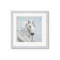 Picture of Blue Unicorn _GroupedProduct_Square_Framed_Matted_