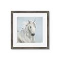 Picture of Blue Unicorn _GroupedProduct_Square_Framed_Matted_