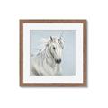 Picture of Blue Unicorn _GroupedProduct_Square_Framed_Matted_
