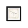 Picture of Learning T-Rex _GroupedProduct_Square_Framed_Matted_