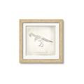 Picture of Learning T-Rex _GroupedProduct_Square_Framed_Matted_