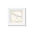 Picture of Learning T-Rex _GroupedProduct_Square_Framed_Matted_