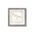 Picture of Learning T-Rex _GroupedProduct_Square_Framed_Matted_