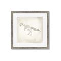 Picture of Learning T-Rex _GroupedProduct_Square_Framed_Matted_