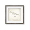 Picture of Learning T-Rex _GroupedProduct_Square_Framed_Matted_