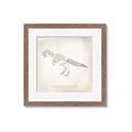Picture of Learning T-Rex _GroupedProduct_Square_Framed_Matted_