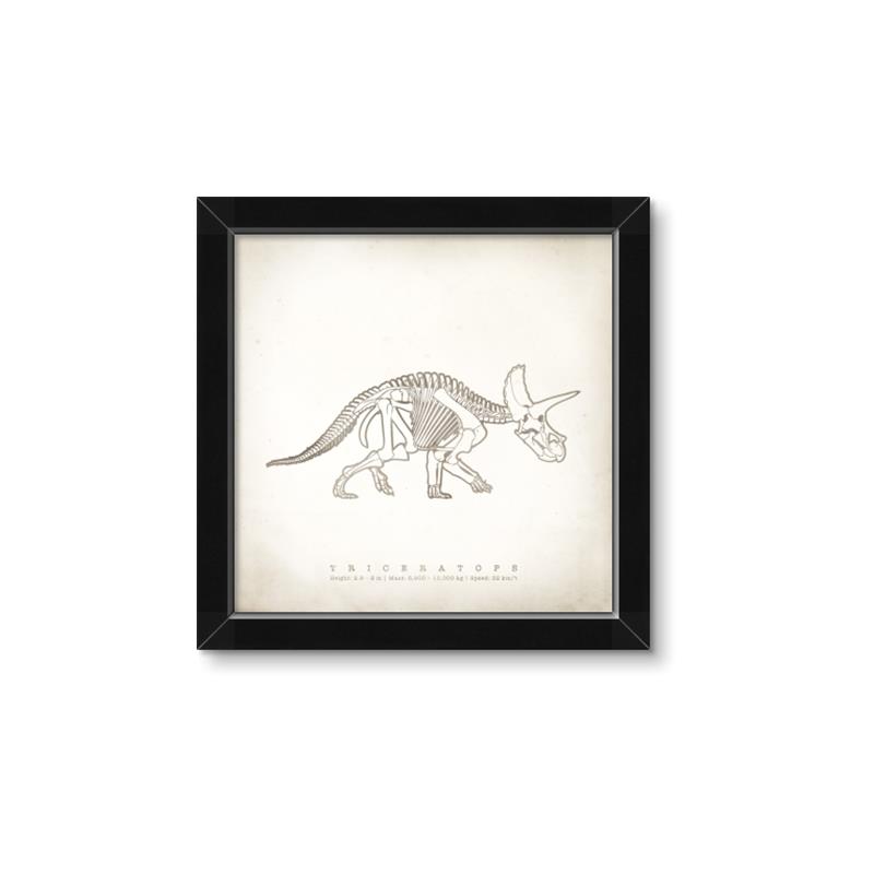 Picture of Learning Triceratops _GroupedProduct_Square_Framed_Matted_