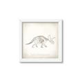 Picture of Learning Triceratops _GroupedProduct_Square_Framed_Matted_