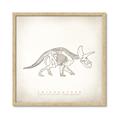 Picture of Learning Triceratops _GroupedProduct_Square_Framed_Matted_