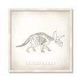 Picture of Learning Triceratops _GroupedProduct_Square_Framed_Matted_