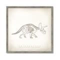 Picture of Learning Triceratops _GroupedProduct_Square_Framed_Matted_