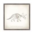 Picture of Learning Triceratops _GroupedProduct_Square_Framed_Matted_