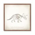 Picture of Learning Triceratops _GroupedProduct_Square_Framed_Matted_