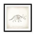 Picture of Learning Triceratops _GroupedProduct_Square_Framed_Matted_