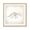 Picture of Learning Triceratops _GroupedProduct_Square_Framed_Matted_