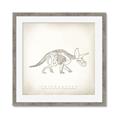 Picture of Learning Triceratops _GroupedProduct_Square_Framed_Matted_