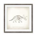 Picture of Learning Triceratops _GroupedProduct_Square_Framed_Matted_