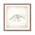 Picture of Learning Triceratops _GroupedProduct_Square_Framed_Matted_