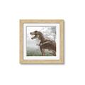 Picture of Trex in the Woods _GroupedProduct_Square_Framed_Matted_