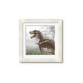 Picture of Trex in the Woods _GroupedProduct_Square_Framed_Matted_