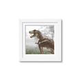 Picture of Trex in the Woods _GroupedProduct_Square_Framed_Matted_