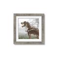 Picture of Trex in the Woods _GroupedProduct_Square_Framed_Matted_