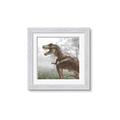 Picture of Trex in the Woods _GroupedProduct_Square_Framed_Matted_